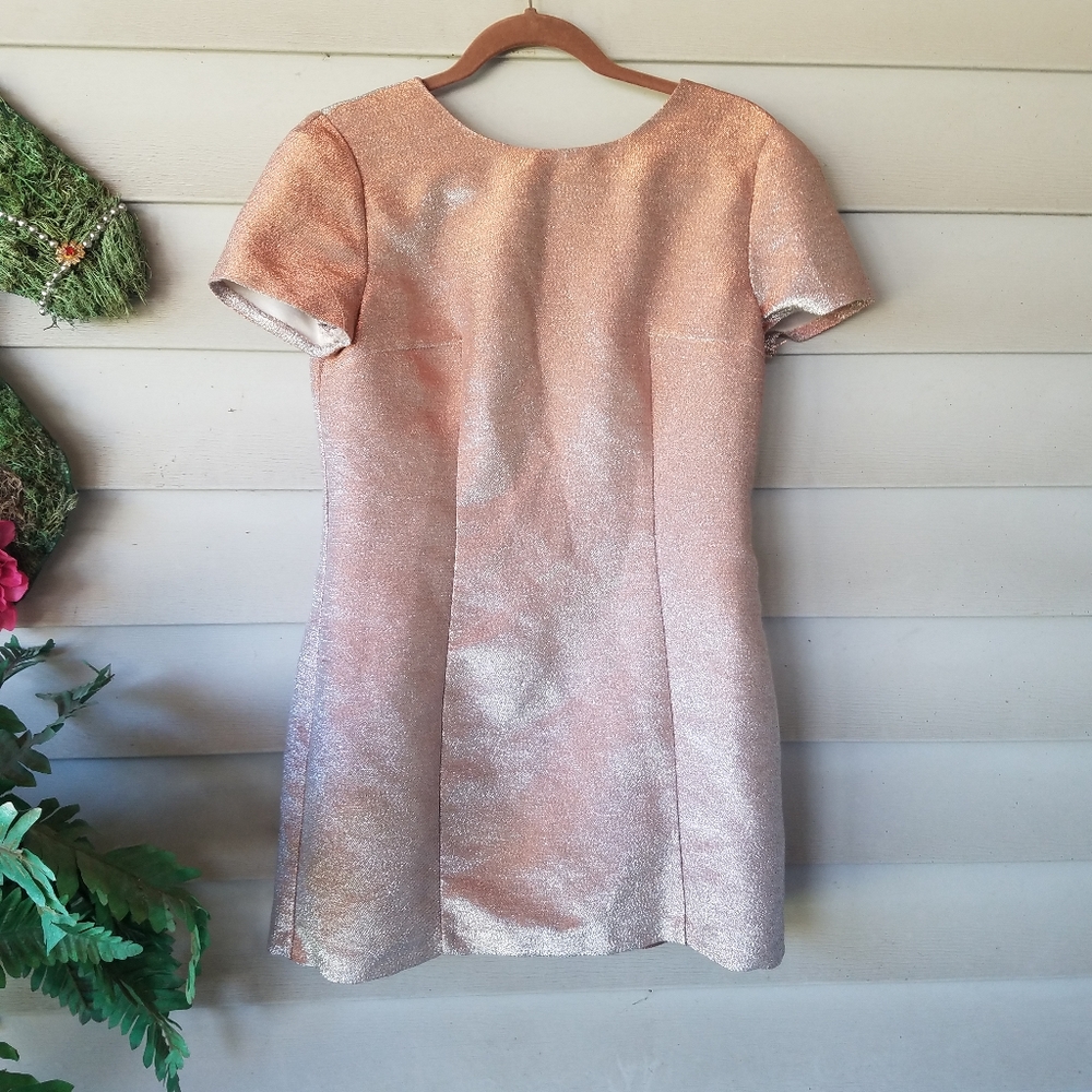 Express light pink dress